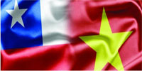 Việt Nam - Chile (VCFTA)